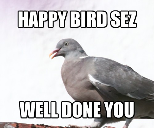 Happy Bird sez well done you