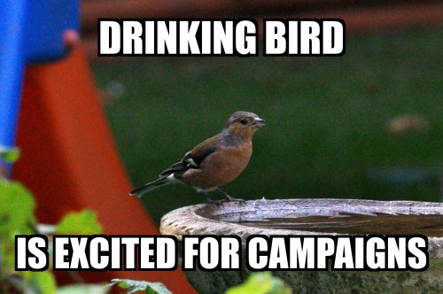 Drinking Bird Loves Campaigns