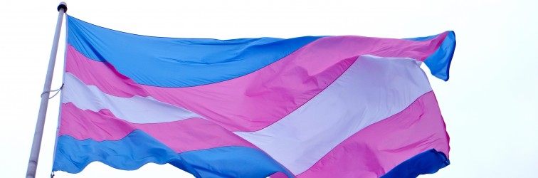 Newsletter 2015-02-02: Transgender Rights and Things of Note
